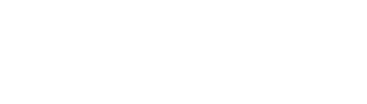 数据信息图